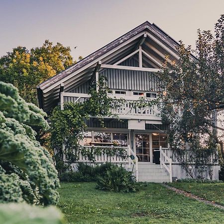Gardenia-Altach, 2-4 P, Kueche, Garten, Terrasse, Parkplatz, Wifi, Ski Stellplatz Exterior foto